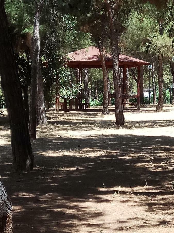 דירות Athens 140 מראה חיצוני תמונה